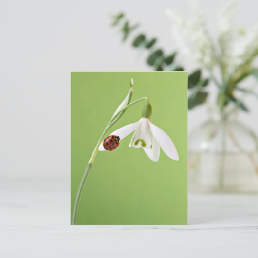 Ladybug in sneeuwval briefkaart (Staand voorkant)