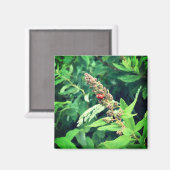 Ladybug in Spring Magneet (Voorkant / Achterkant)