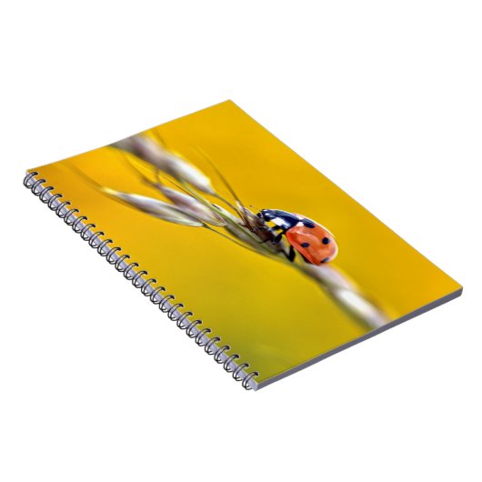 Ladybug in stengelpuzzel van briefkaart notitieboek (Rechterzijde)