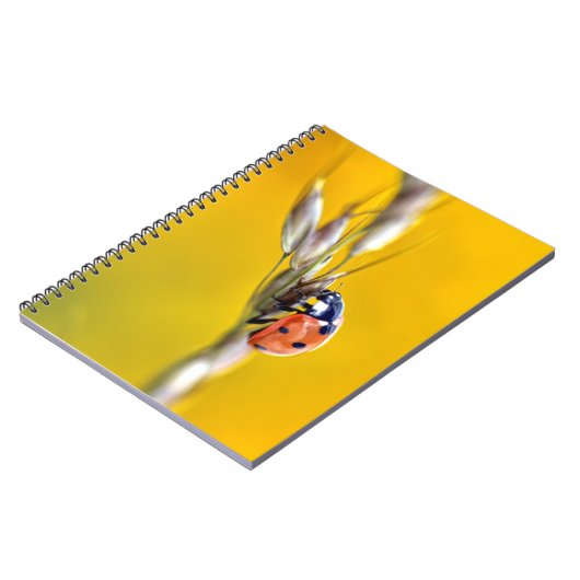 Ladybug in stengelpuzzel van briefkaart notitieboek (Linkerzijde)