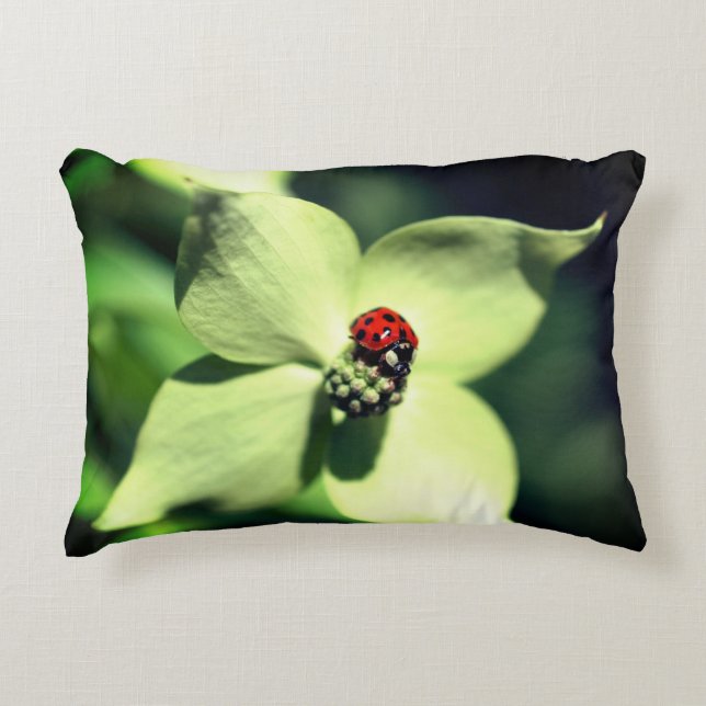 Ladybug in White Dogwood Flower Close Accent Kussen (Voorkant)