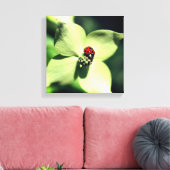 Ladybug in White Dogwood Flower Close Canvas Afdruk (Insitu (Woonkamer))