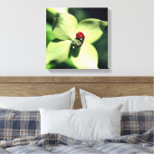 Ladybug in White Dogwood Flower Close Canvas Afdruk (Insitu (Slaapkamer))