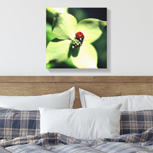 Ladybug in White Dogwood Flower Close Canvas Afdruk (Insitu (Slaapkamer))