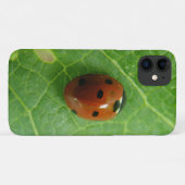 Ladybug iPhone 3 Case (Achterkant (horizontaal))
