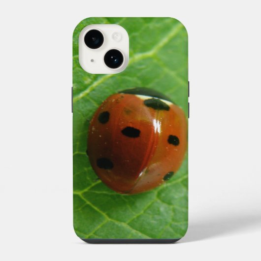 Ladybug iPhone Hoesje (Achterkant)