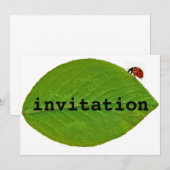 Ladybug Kaart (Voorkant / Achterkant)