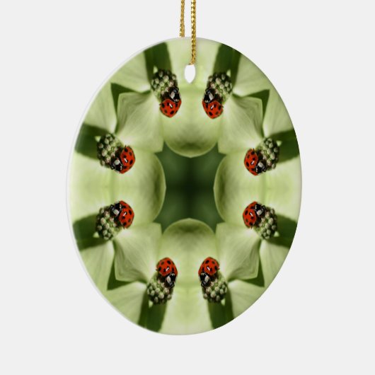 Ladybug Kaleidoscope Natuur Ornament (Rechts)