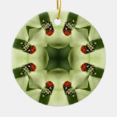 Ladybug Kaleidoscope Natuur Ornament (Voorkant)