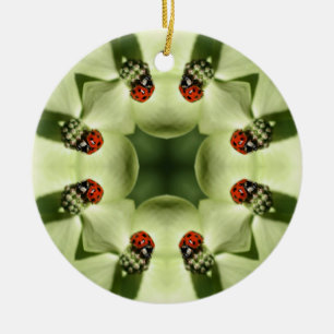Ladybug Kaleidoscope Natuur Ornament