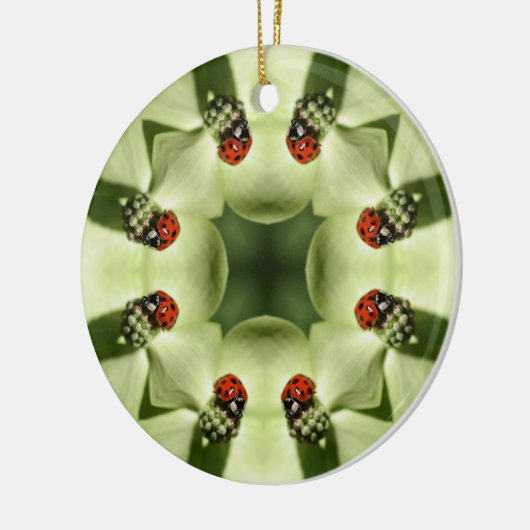 Ladybug Kaleidoscope Natuur Ornament (Links)