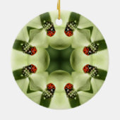 Ladybug Kaleidoscope Natuur Ornament (Achterkant)