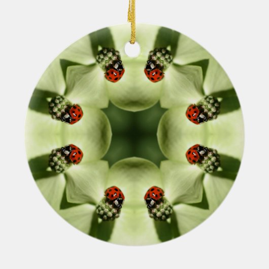 Ladybug Kaleidoscope Natuur Ornament (Achterkant)