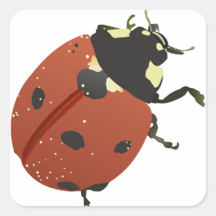 LadyBug Kantoor Home personaliseer de bestemming Vierkante Sticker