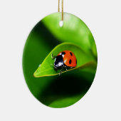 Ladybug Keramisch Ornament (Rechts)