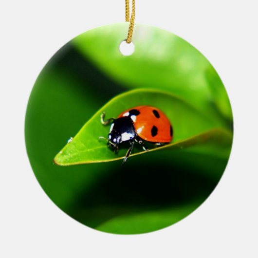 Ladybug Keramisch Ornament (Voorkant)