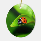 Ladybug Keramisch Ornament (Links)
