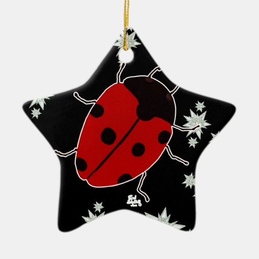 LADYBUG KERAMISCH ORNAMENT (Voorkant)