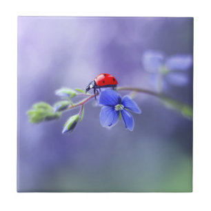 LADYBUG-keramische Tegel Tegeltje