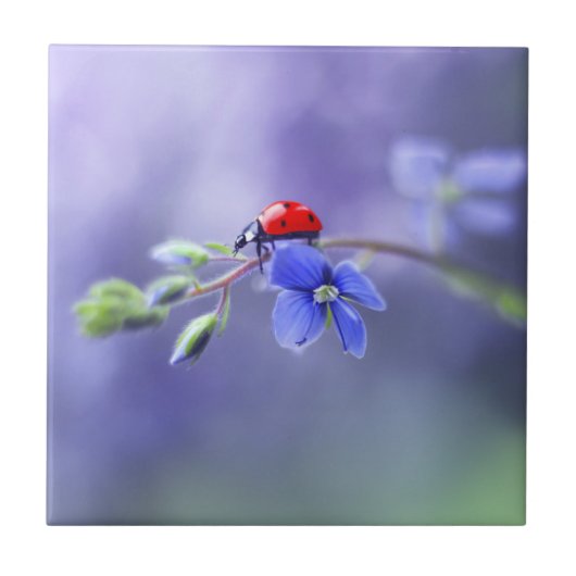 LADYBUG-keramische Tegel Tegeltje (Voorkant)