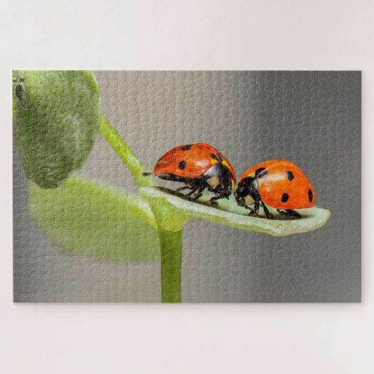 Ladybug kevers op een blad legpuzzel (Horizontaal)