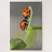Ladybug kevers op een blad legpuzzel (Verticaal)