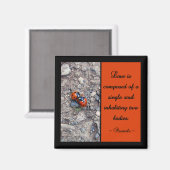 Ladybug Kisses Magneet (Voorkant / Achterkant)