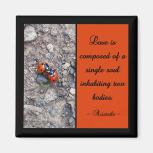 Ladybug Kisses Magneet