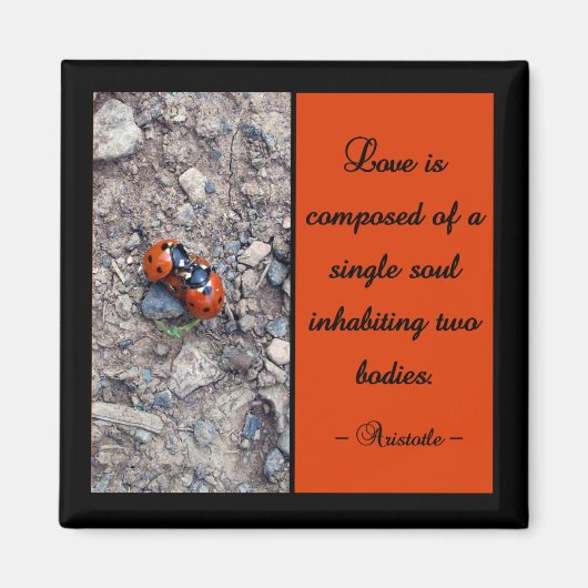 Ladybug Kisses Magneet (Voorkant)