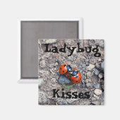 Ladybug Kisses Magneet (Voorkant / Achterkant)