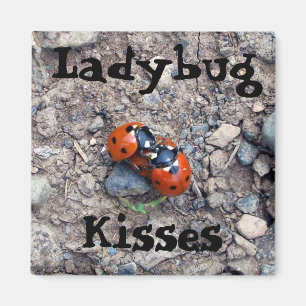 Ladybug Kisses Magneet
