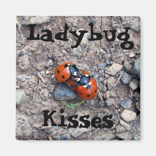 Ladybug Kisses Magneet (Voorkant)
