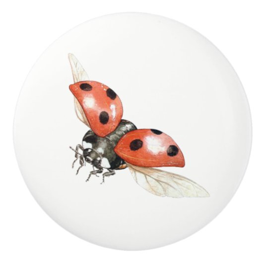 ladybug knop (Voorkant)