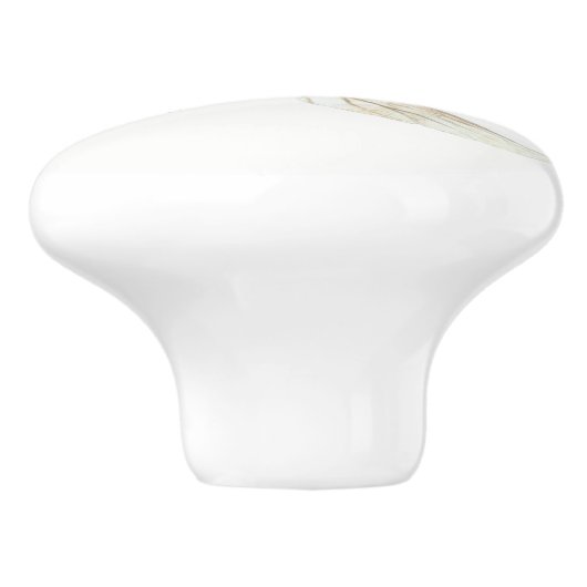 ladybug knop (Zijkant)