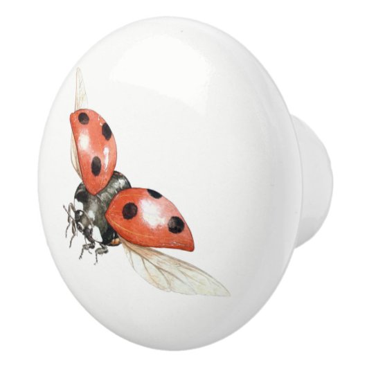 ladybug knop (Rechts)