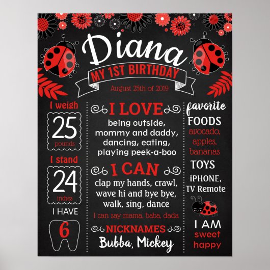 Ladybug Lady Bug Birthday Party-chalkboard Poster (Voorkant)