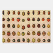 Ladybug Ladybird Beetle Insect Bug Inpakpapier Vel (Voorkant 3)