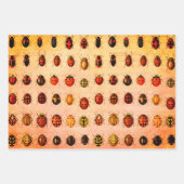 Ladybug Ladybird Beetle Insect Bug Inpakpapier Vel (Voorkant 2)