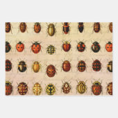 Ladybug Ladybird Beetle Insect Bug Inpakpapier Vel (Voorkant)