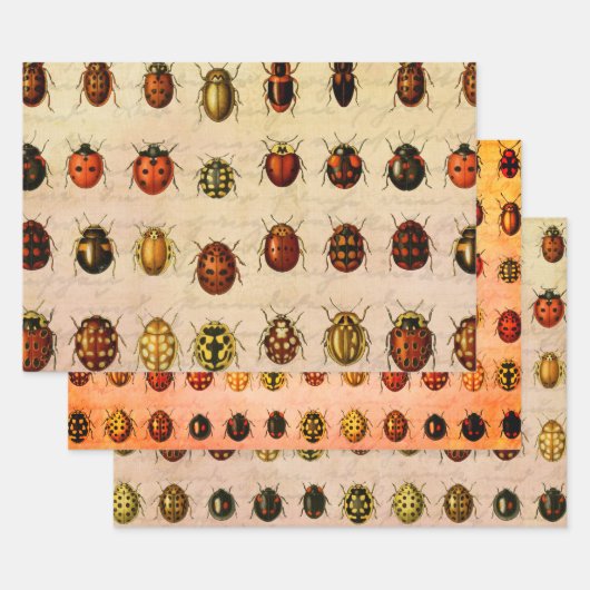 Ladybug Ladybird Beetle Insect Bug Inpakpapier Vel (Set)