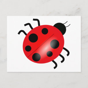Ladybug - Ladybird Briefkaart