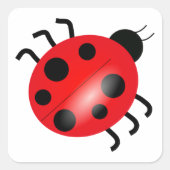 Ladybug - Ladybird Vierkante Sticker (Voorkant)