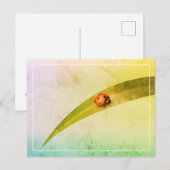 Ladybug Leaf Briefkaart (Voorkant / Achterkant)