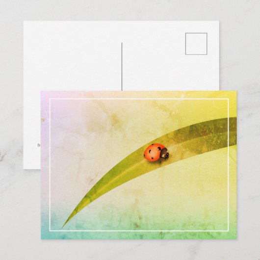 Ladybug Leaf Briefkaart (Voorkant / Achterkant)