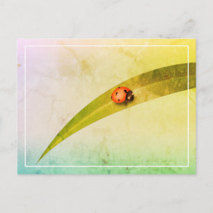 Ladybug Leaf Briefkaart