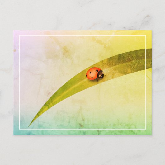 Ladybug Leaf Briefkaart (Voorkant)