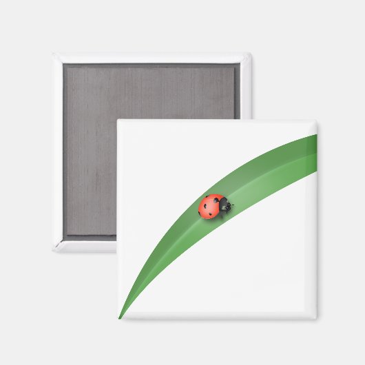 Ladybug Leaf Magneet (Voorkant / Achterkant)