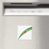 Ladybug Leaf Magneet (Insitu (Vaatwasser))