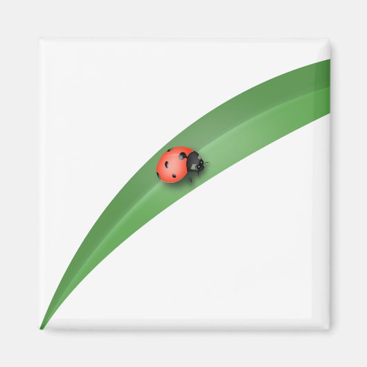 Ladybug Leaf Magneet (Voorkant)