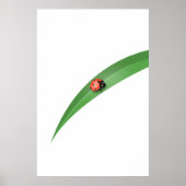 Ladybug Leaf Poster (Voorkant)